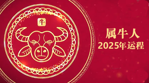 云楚笙2025年属牛人运势详解