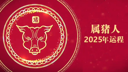 云楚笙2025年属猪人运势详解